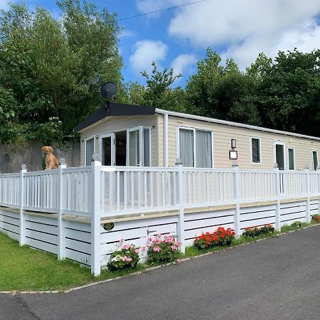 Mollys Retreat Pet Friendly Three Bed Caravan With Small Garden Newquay Bay Resort Quieter Area Of Park エクステリア 写真