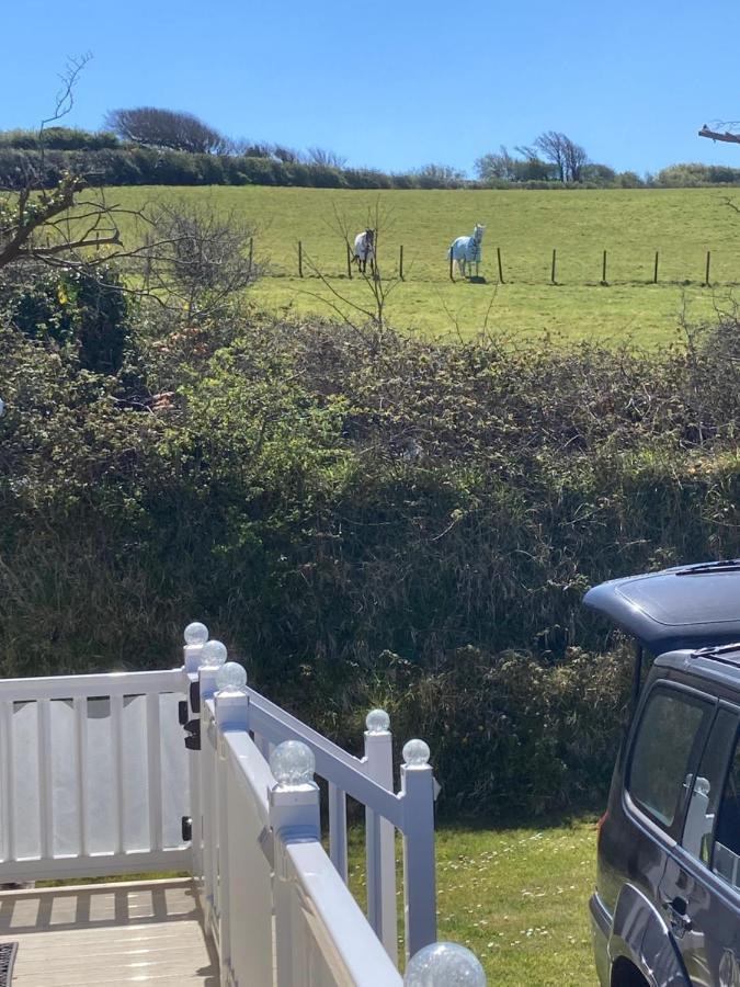 Mollys Retreat Pet Friendly Three Bed Caravan With Small Garden Newquay Bay Resort Quieter Area Of Park エクステリア 写真